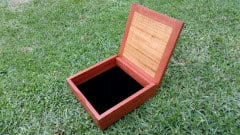 Tasmanian Fiddleback lid rests back when open