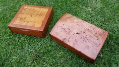Tasmanian Blackwood Fiddleback & Stringybark Burl Dome Lid