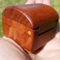 Small red gum box, hinge pin made from solid Beach timber. Secure Tapered Pin fit and glue.