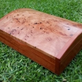 Stringybark Burl, very limited supply