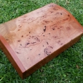 Stringybark Burl, a beautiful rare Australian timber feature