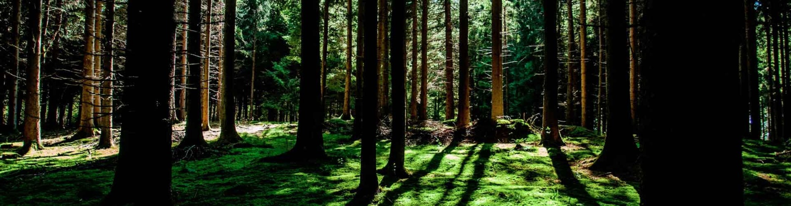 Australian-Workshop-Creations-2----wooden-boxes