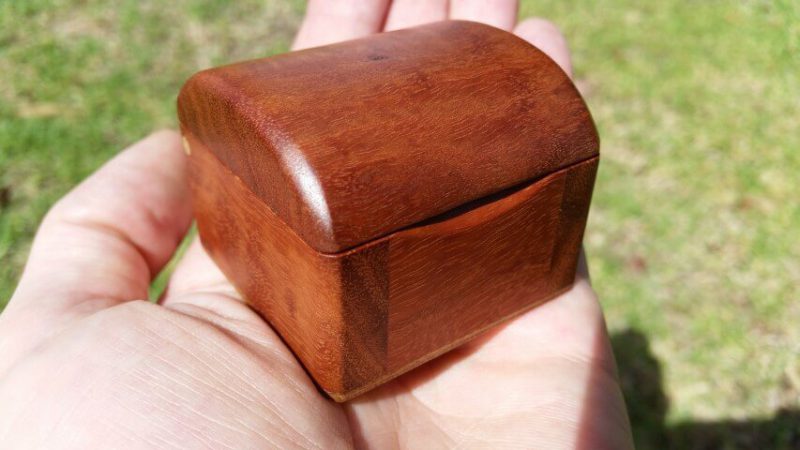 Photo close up of a small red gum broach box