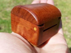 Close up photo of a small wooded box red gum with Beach timber hinge pin